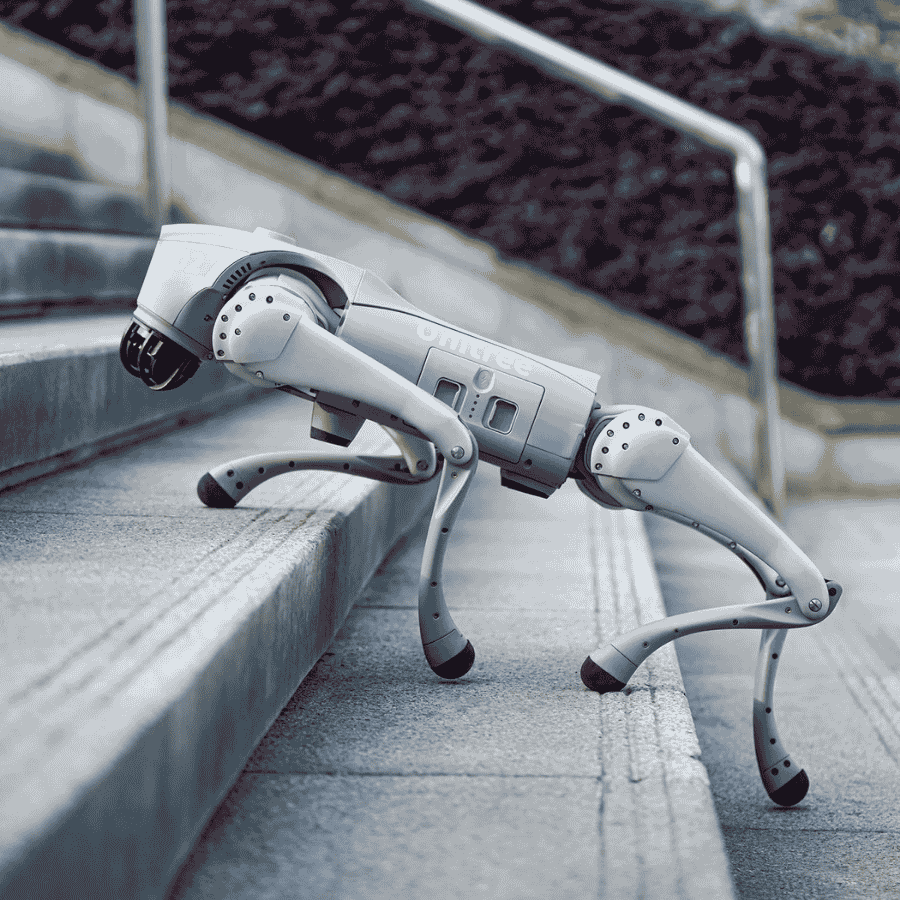 Unitree Go2 Roboterhund