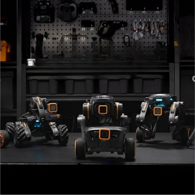 Educational & Forschungsroboter
