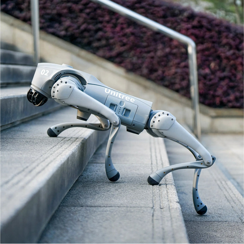 Roboterhunde & Inspektionsroboter