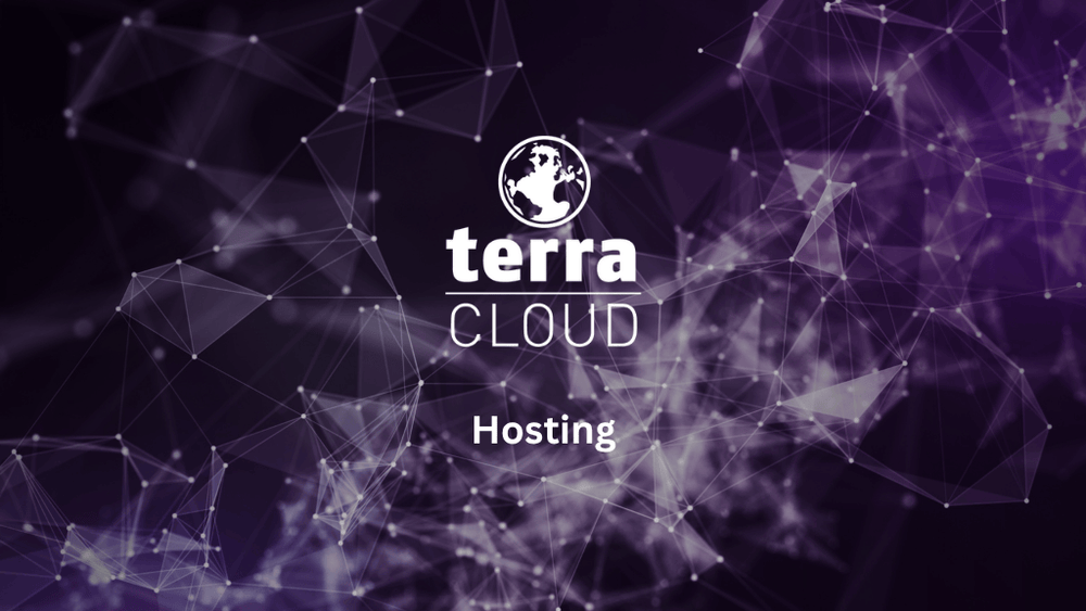 Terra Cloud Hosting Banner mit violetter Netzwerkgrafik für sichere performante Unternehmensdaten