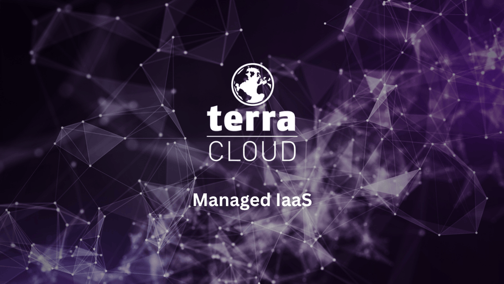Terra Cloud Banner zu Managed IaaS mit violetter Netzwerkgrafik für betreute IT Infrastruktur