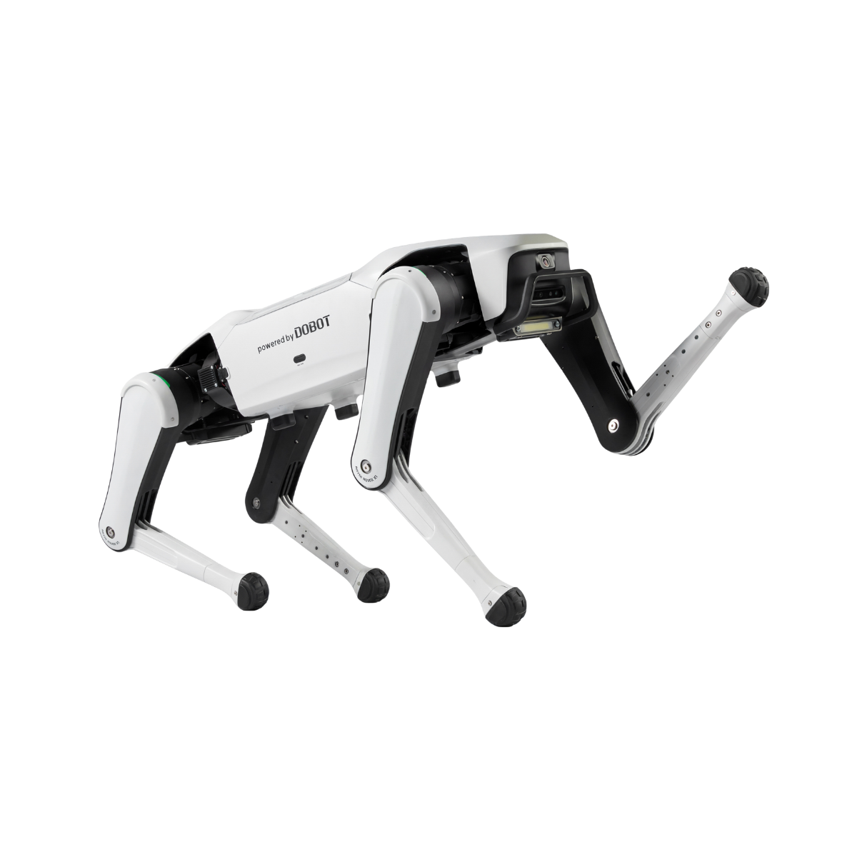 Dobot Rover X1 Explorer Roboterhund