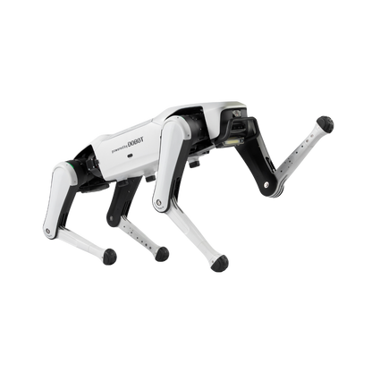 Dobot Rover X1 Explorer Roboterhund