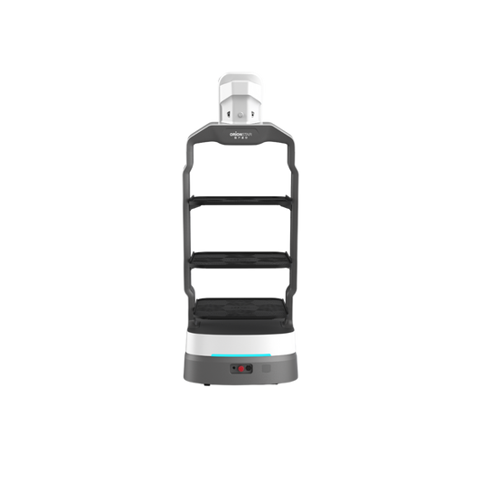 Orionstar LuckiBot - AI Delivery Robot