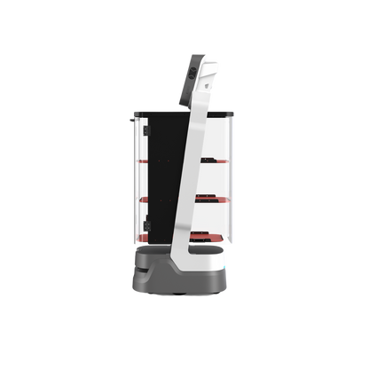Orionstar LuckiBot - AI Delivery Robot