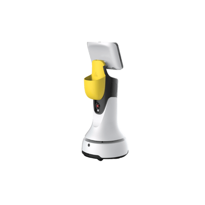 OrionStar GreetingBot Mini Rücken-Ausstattung