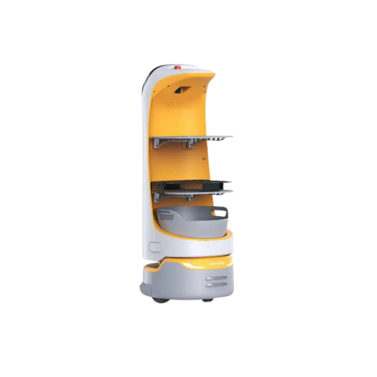 Kettybot Pro