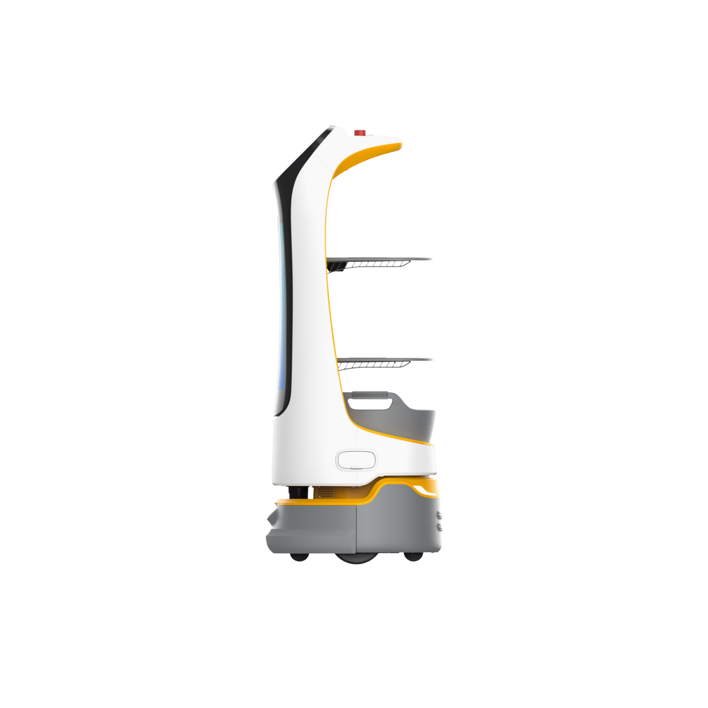 Kettybot Pro