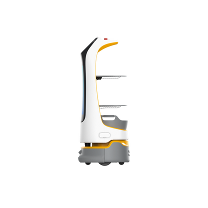 Kettybot Pro