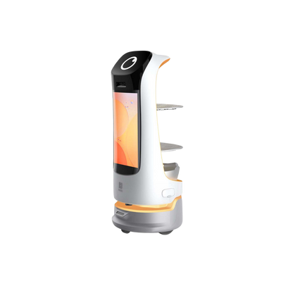 Kettybot Pro