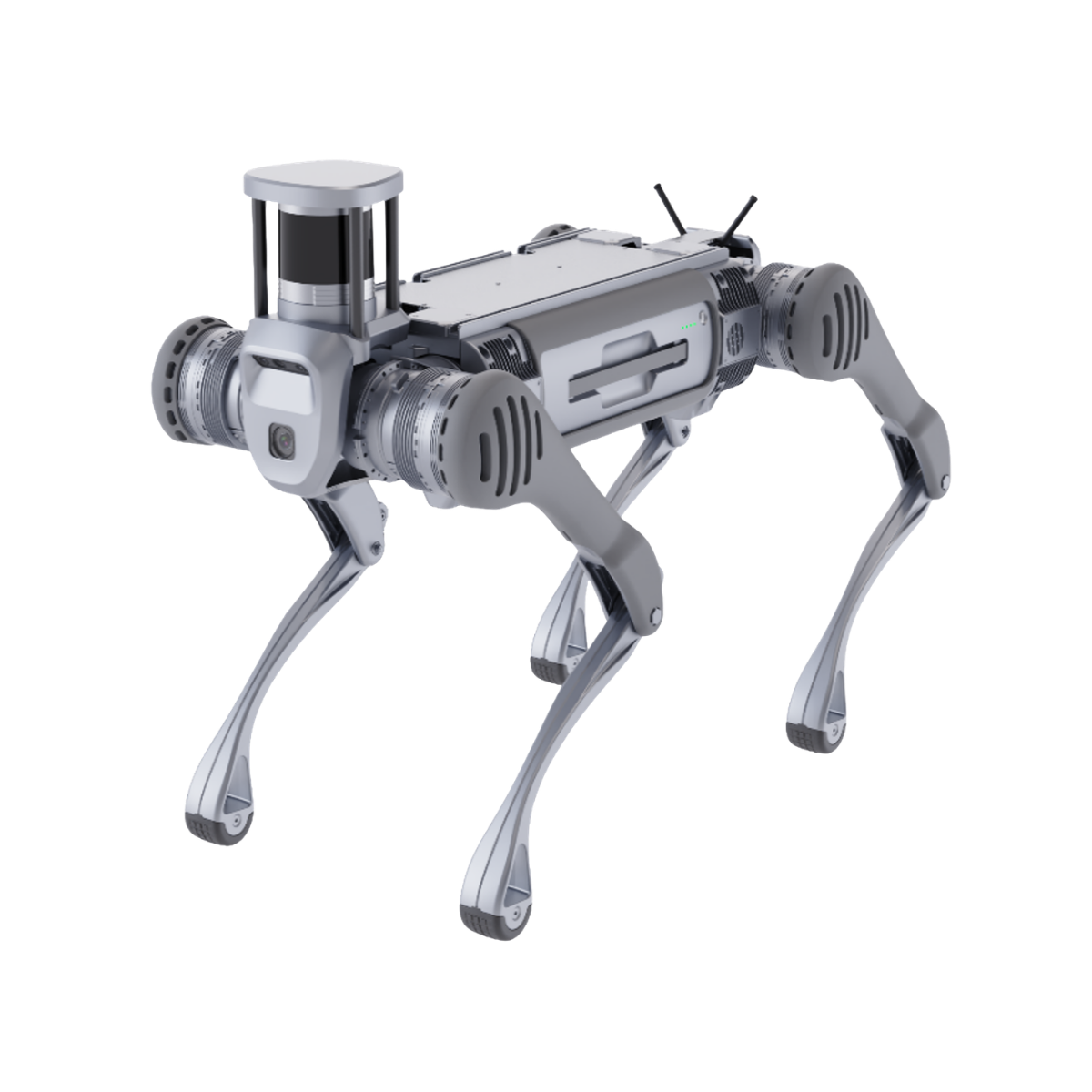 Unitree B2 Roboterhund - Terra-Robotics