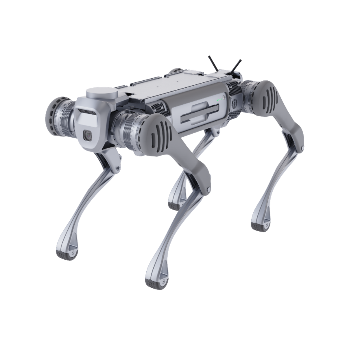 Unitree B2 Roboterhund - Terra-Robotics